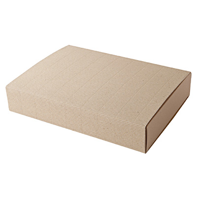 Gift Box 310x230x60mm