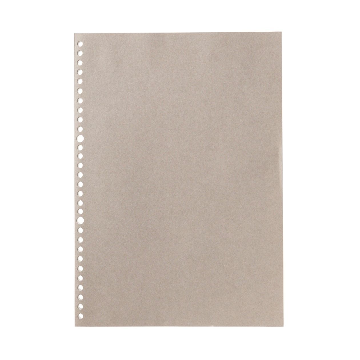 Notebook Type Loose Leaf Paper - Graph